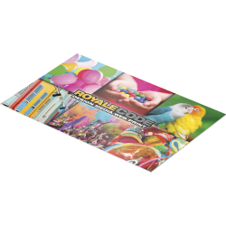 Business Cards - Standard
